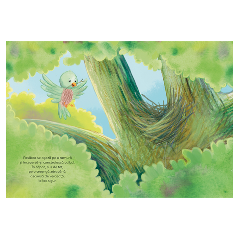 Copacii nu sunt doar pentru pasari