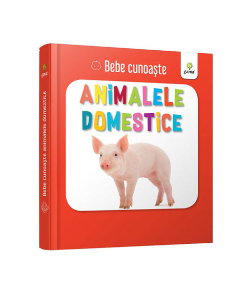 Animale domestice - Bebe cunoaste