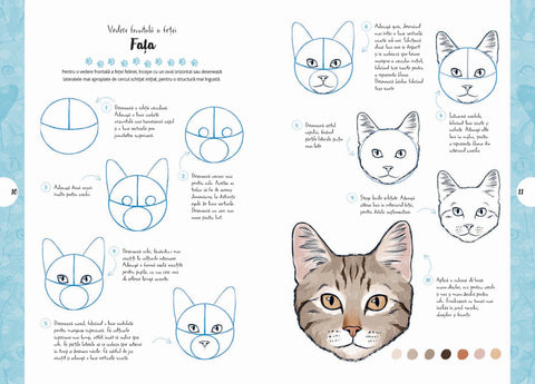 Desen in 10 pasi. Pisici