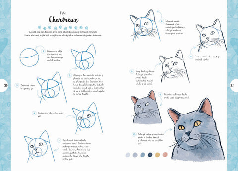 Desen in 10 pasi. Pisici