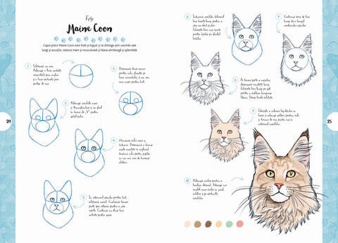 Desen in 10 pasi. Pisici