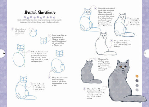 Desen in 10 pasi. Pisici