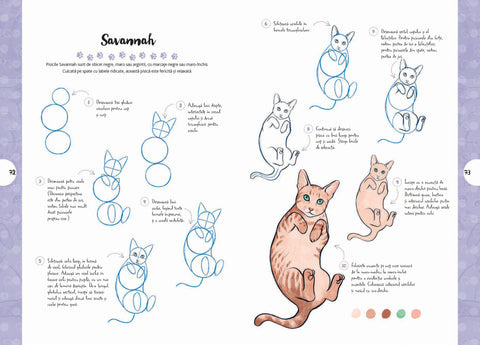 Desen in 10 pasi. Pisici