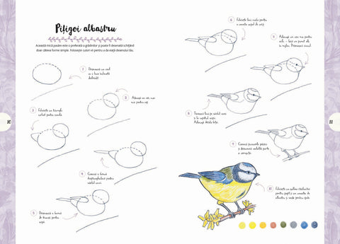 Desen in 10 pasi. Natura