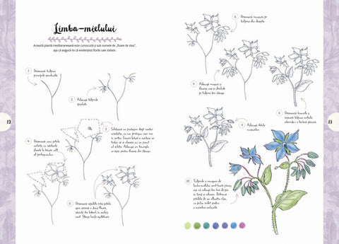 Desen in 10 pasi. Natura