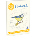 Desen in 10 pasi. Natura