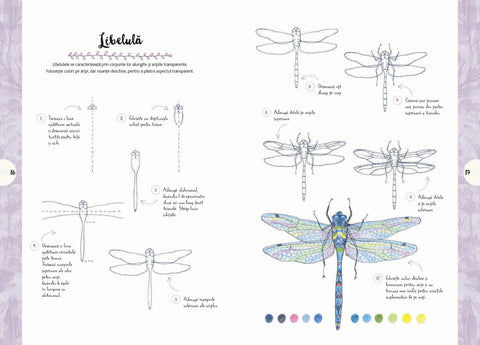 Desen in 10 pasi. Natura