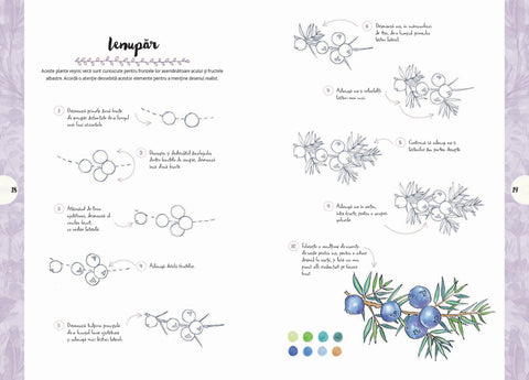 Desen in 10 pasi. Natura