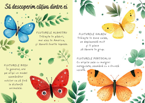 Fluturii - Puzzle magic de colorat cu apa