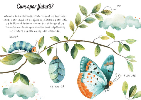 Fluturii - Puzzle magic de colorat cu apa