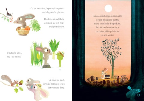 Iepurila invata sa imparta