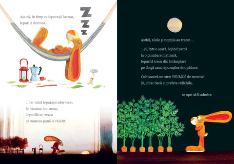 Iepurila invata sa imparta