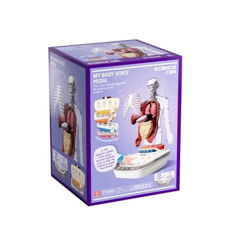 Joc STEM Anatomia umana. TopBright