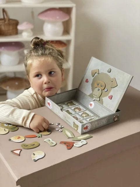 Jocuri magnetice Expresii. Egmont Toys