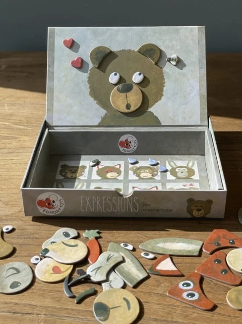Jocuri magnetice Expresii. Egmont Toys