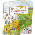 Cauta si gaseste - Anotimpurile