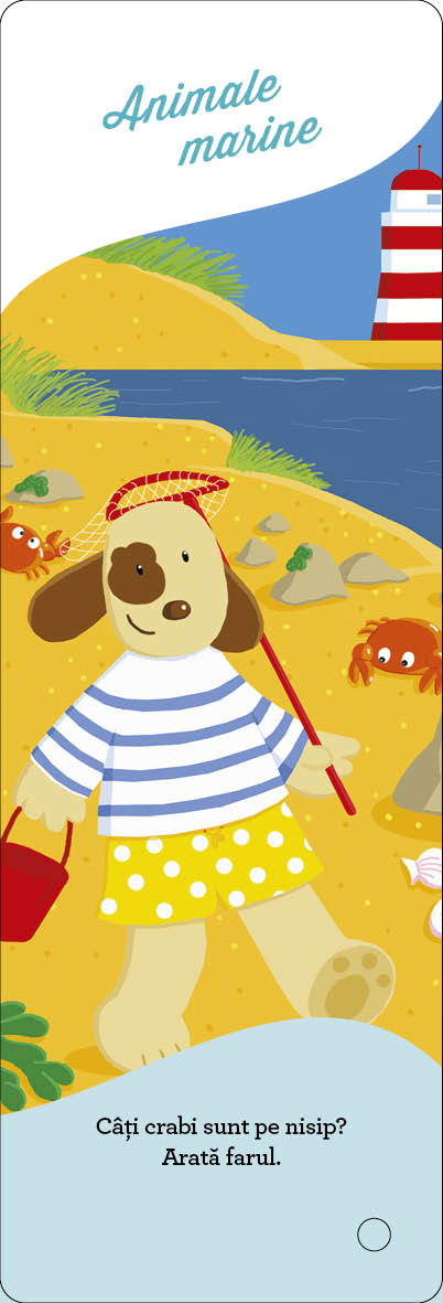 Micul Imbatabil. Primele mele cunostinte. Animale