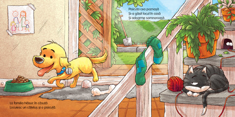 Noapte buna, catelusule!