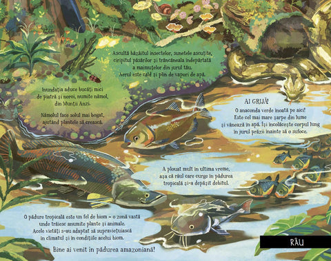 Pas cu pas prin padure