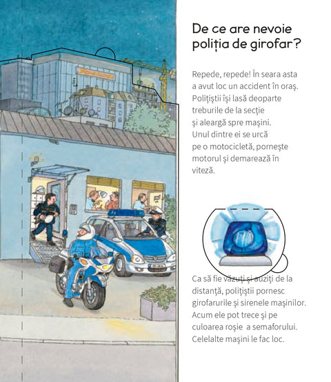 Politia Colectia De ce? De ce? De ce?