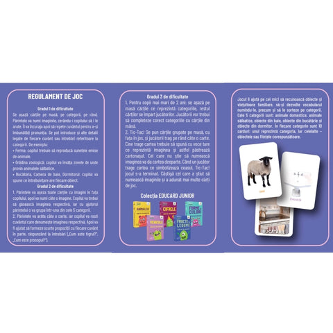 Primele cuvinte. Carti de Joc Educative