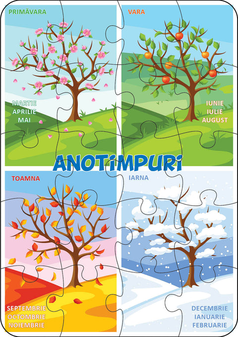 ANOTIMPURI – Puzzle pentru podea