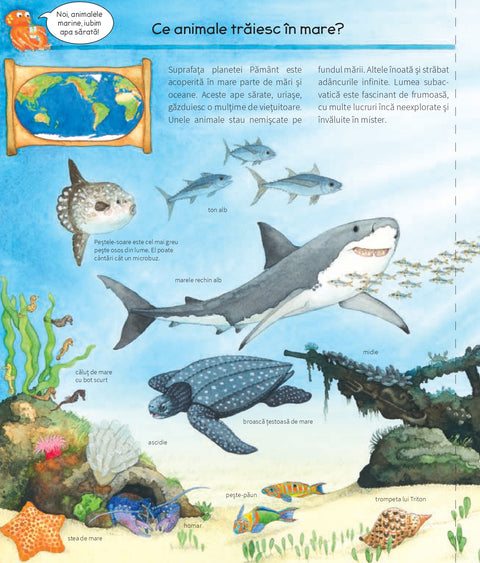 Sa descoperim animalele marine - Colectia De ce? de ce? de ce?