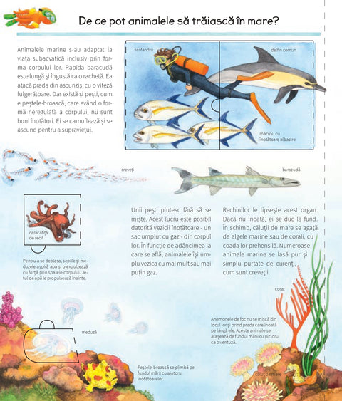 Sa descoperim animalele marine - Colectia De ce? de ce? de ce?