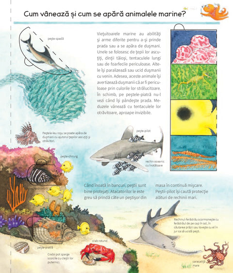 Sa descoperim animalele marine - Colectia De ce? de ce? de ce?