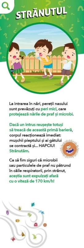 Sunt imbatabil - Cine si cum
