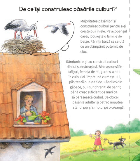 Unde traiesc animalele- De ce? De ce? De ce?