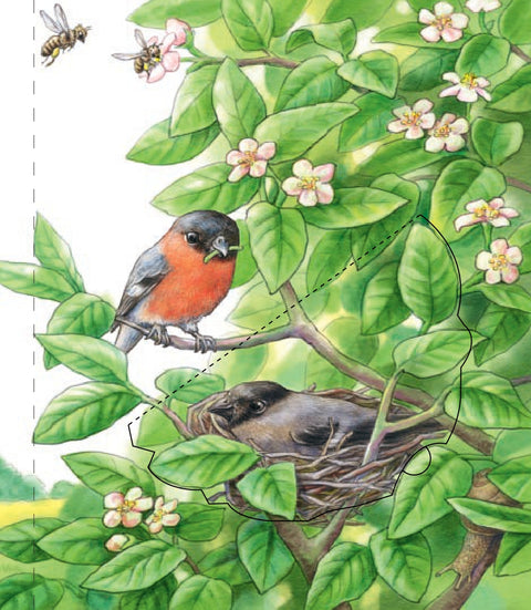 Unde traiesc animalele- De ce? De ce? De ce?