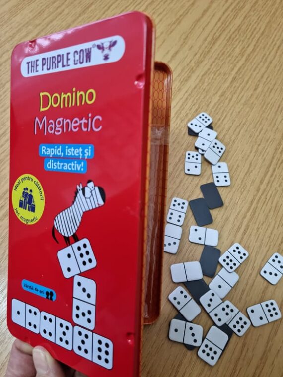 domino magnetic1
