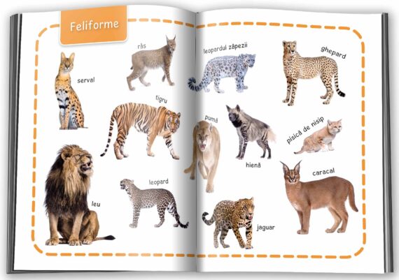 Animale - Învăț 100 de cuvinte 1