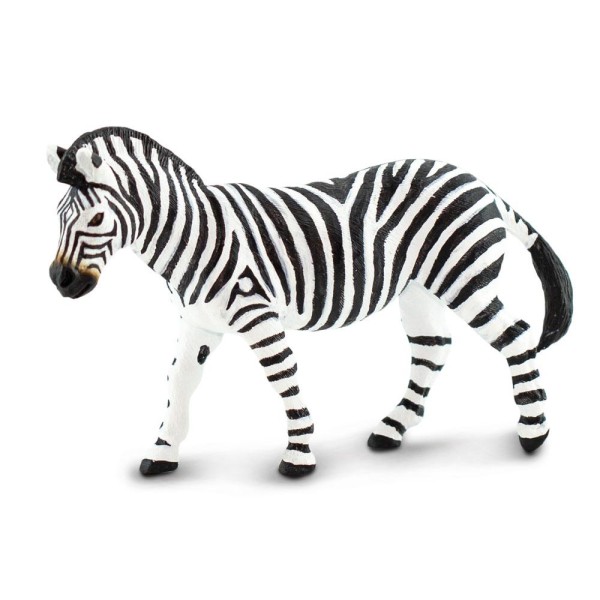 Zebra de stepa
